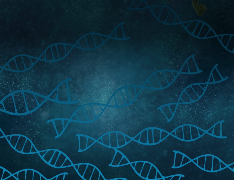 harnessing the power of mps