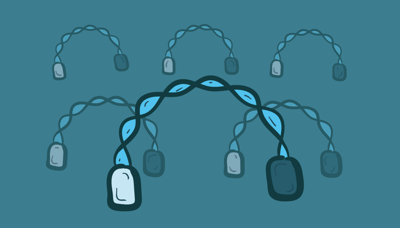 The Magic of Mitochondrial DNA