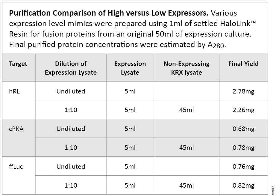 Table displaying purification comparison of high vs. low expressors.